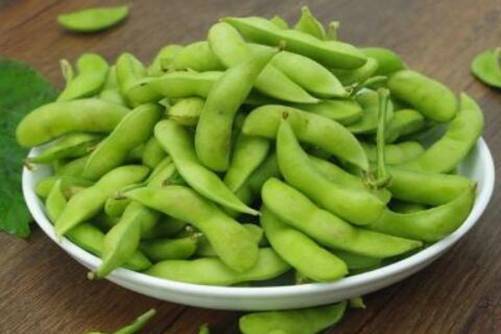黄豆图片，捋青捣软饥肠，问言豆叶几时黄