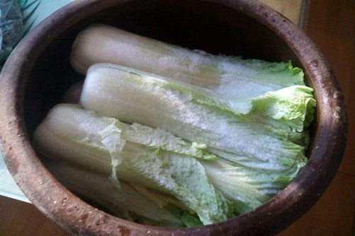 酸白菜的腌制方法 这样腌酸白菜又脆又爽口