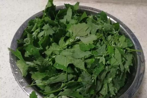 灰条菜的吃法，田里经常可以看到，做凉拌美味无比