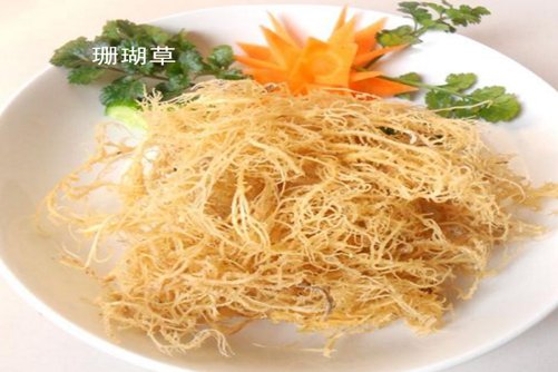 鹿角菜和珊瑚草区别，学会以下几点轻松分辨鹿角菜和珊瑚草