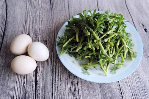 救心菜的食用方法，救心菜不仅可以吃还可以泡茶