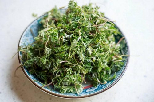 白蒿的作用，白蒿不仅是美味的野菜还是一味良药