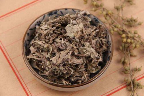 艾叶熏房间有什么好处，艾草益处多但也有禁忌