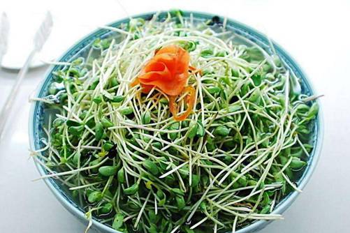 绿豆芽的做法，绿豆芽这样吃不仅味美而且营养更好