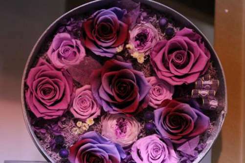 永生花图片，鲜花易谢 恒爱难传