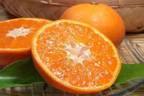 吃橙子上火吗？当然不上火，容易醉酒的备上几个有用哦