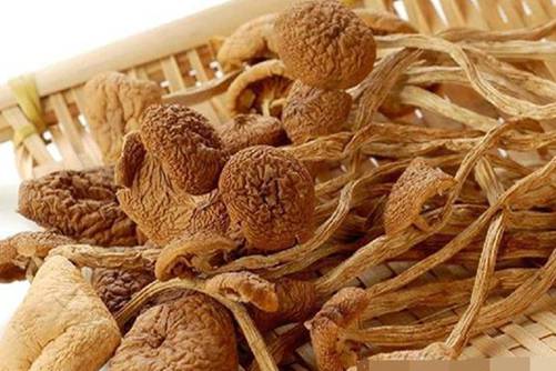 茶树菇的营养价值和注意事项，茶树菇这样吃很健康
