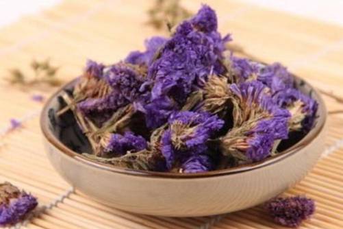 勿忘我花茶有什么功效？勿忘我花茶的饮用禁忌