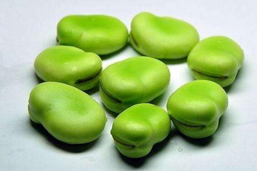蚕豆的功效与作用 得这种病的人千万不要吃蚕豆