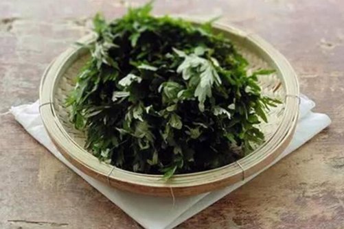 艾叶泡澡有什么好处？正确的使用艾叶泡澡可治病、防病及保健
