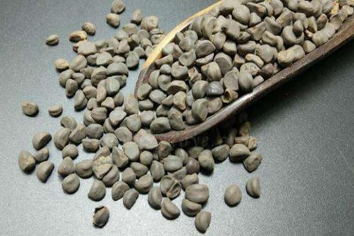 牵牛子的功效与作用，看完牵牛子图片才知道它随处可见