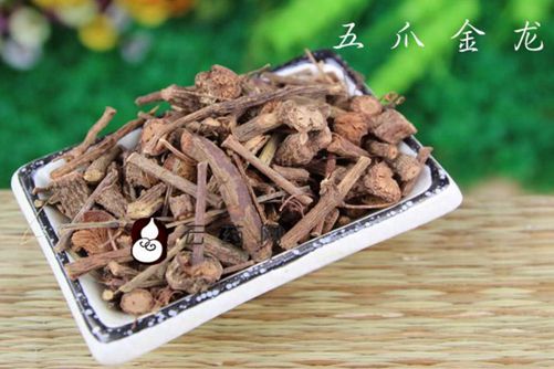 五爪金龙的功效与作用，既为观花植物又能凉血活，壮筋骨