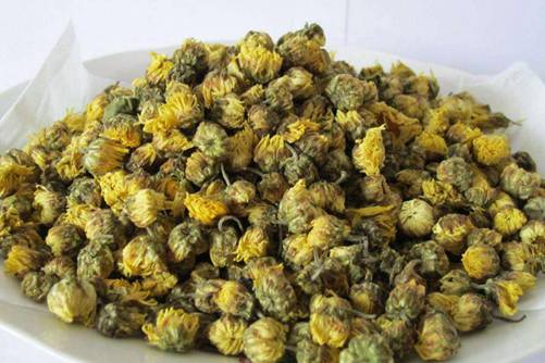 杭白菊的功效与作用 杭白菊和胎菊的区别