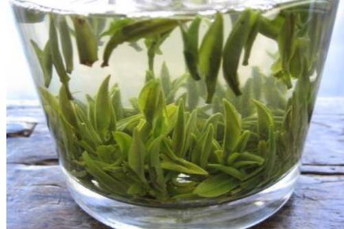 千岛银针图片， 千岛银针“会跳舞的茶”