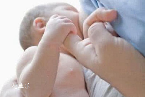 既是“催乳能手”又是“山菜之王”的羊乳花怎么养？