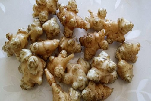 菊宇的功效，孕妇可以吃菊宇吗
