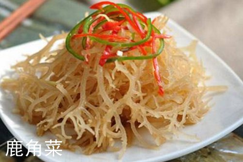 鹿角菜和珊瑚草区别，学会以下几点轻松分辨鹿角菜和珊瑚草