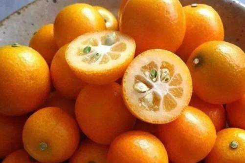 国内水果品种有哪些？看看你最爱的水果品种是哪些