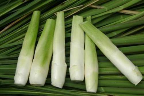茭白是什么？水八仙之一茭白的前生今世