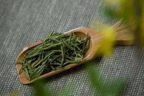 安吉白茶多少钱一斤?给你带来最新的2019安吉白茶的价格