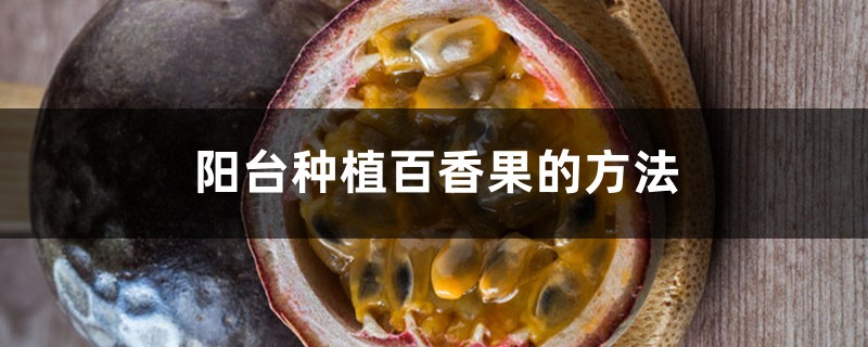 阳台种植百香果的方法 阳台种植百香果的方法