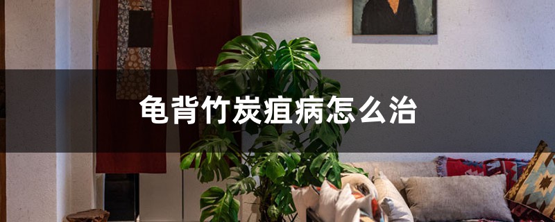 龟背竹炭疽病怎么治 龟背竹炭疽病怎么治