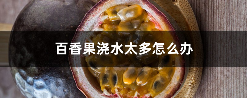 百香果浇水太多怎么办 百香果浇水太多怎么办