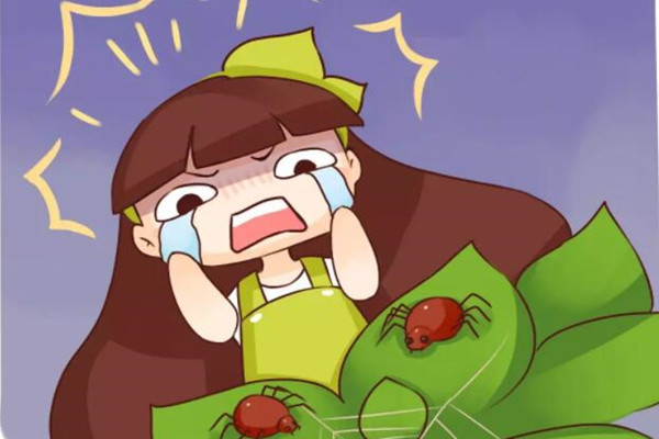 盆里撒把灰,虫子全死光,花蹭蹭冒绿芽! 盆里撒把灰,虫子全死光,花蹭蹭冒绿芽!