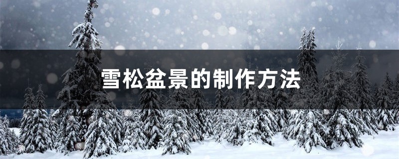 雪松盆景的制作方法 雪松盆景的制作方法